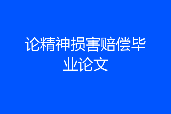 论精神损害赔偿毕业论文