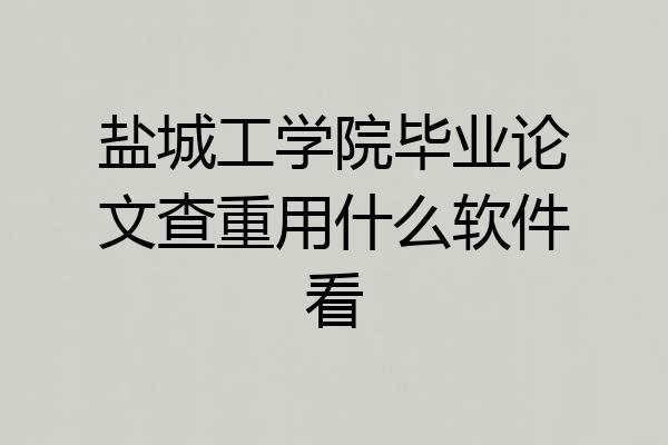 盐城工学院毕业论文查重用什么软件看