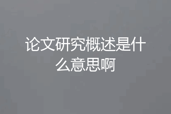 论文研究概述是什么意思啊