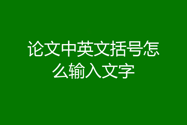 论文中英文括号怎么输入文字