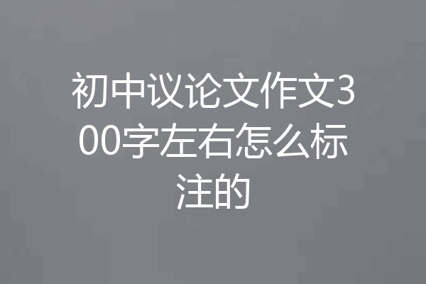 初中议论文作文300字左右怎么标注的