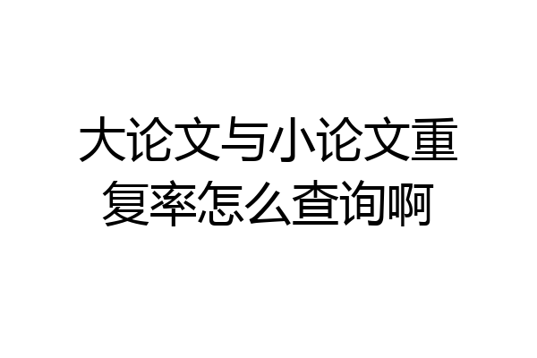大论文与小论文重复率怎么查询啊