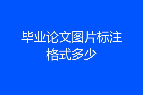 毕业论文图片标注格式多少