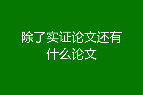 除了实证论文还有什么论文