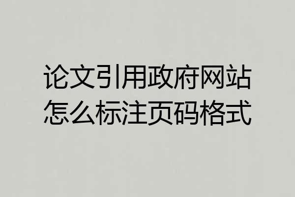 论文引用政府网站怎么标注页码格式