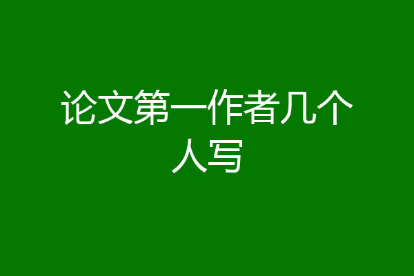 论文第一作者几个人写