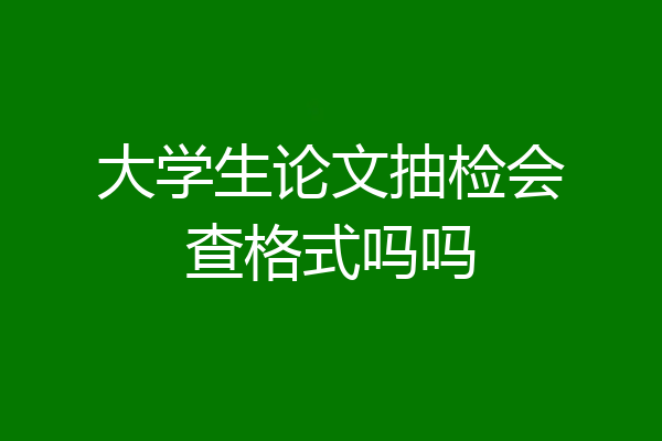 大学生论文抽检会查格式吗吗