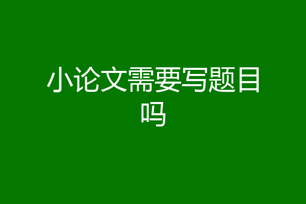小论文需要写题目吗