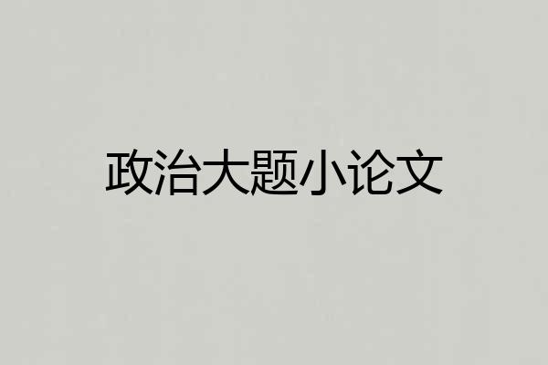 政治大题小论文