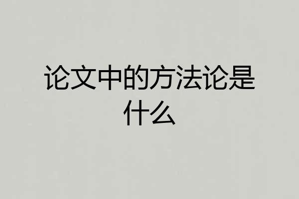 论文中的方法论是什么