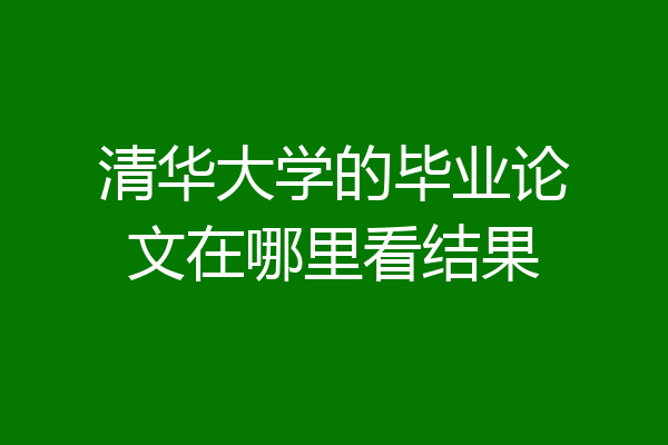 清华大学的毕业论文在哪里看结果