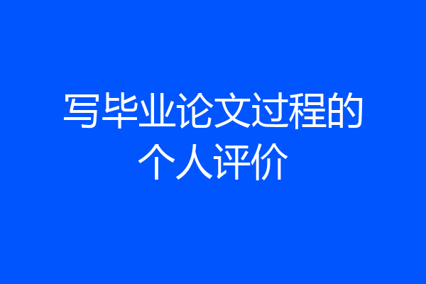 写毕业论文过程的个人评价