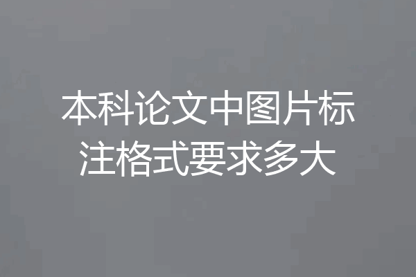 本科论文中图片标注格式要求多大