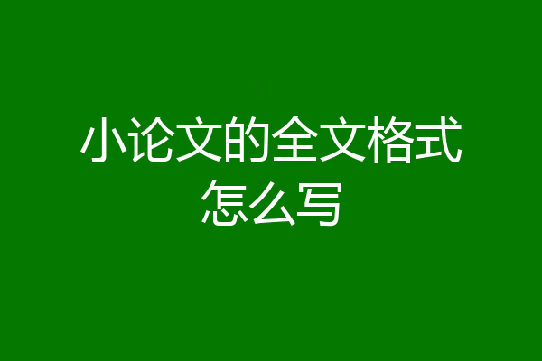 小论文的全文格式怎么写