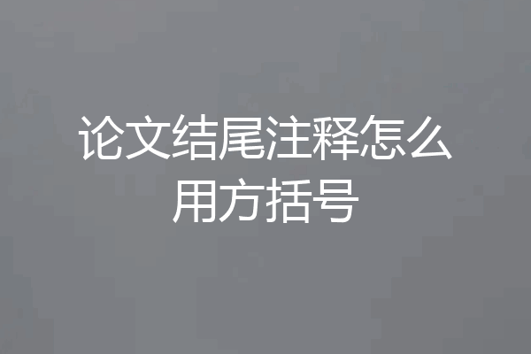 论文结尾注释怎么用方括号