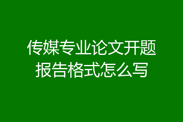传媒专业论文开题报告格式怎么写