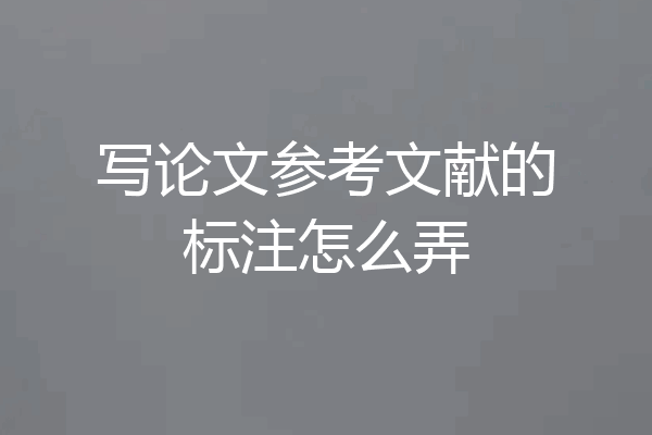 写论文参考文献的标注怎么弄