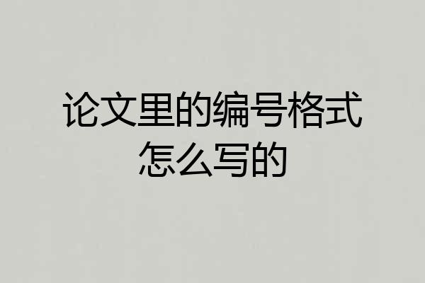 论文里的编号格式怎么写的