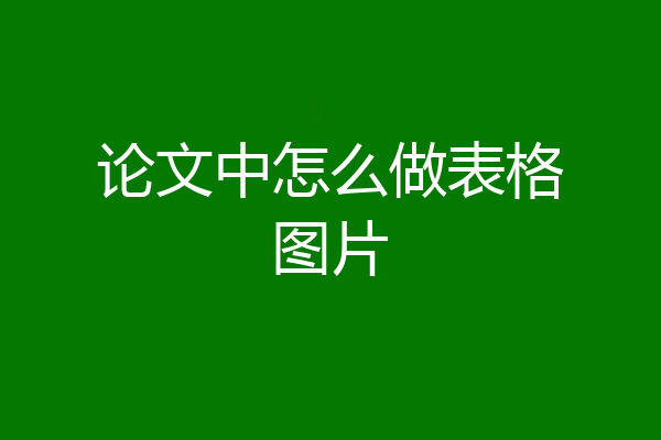 论文中怎么做表格图片