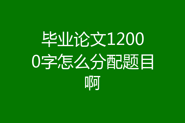 毕业论文12000字怎么分配题目啊
