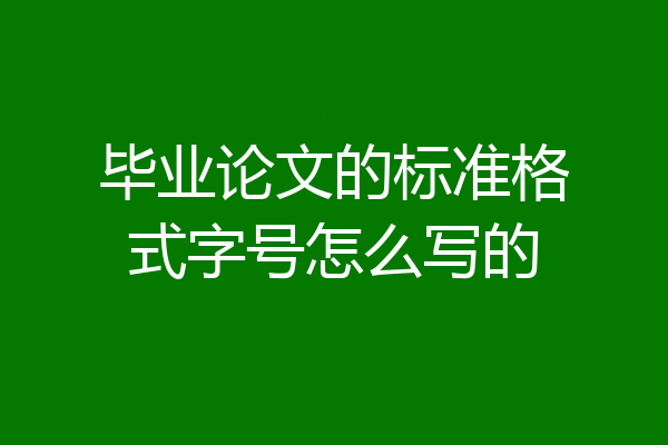 毕业论文的标准格式字号怎么写的
