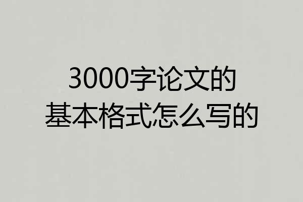 3000字论文的基本格式怎么写的