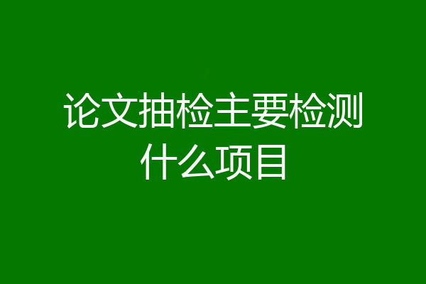 论文抽检主要检测什么项目
