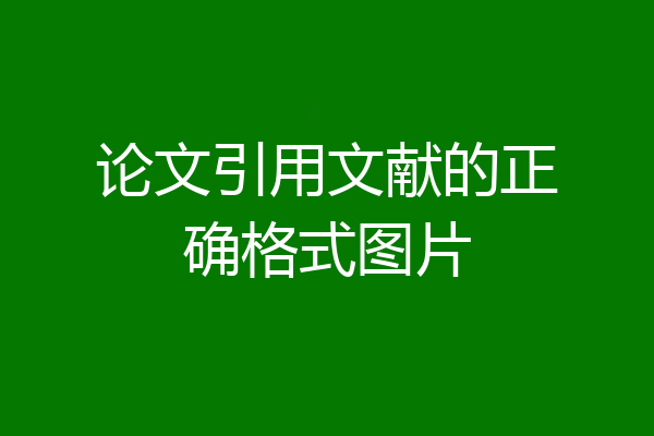 论文引用文献的正确格式图片