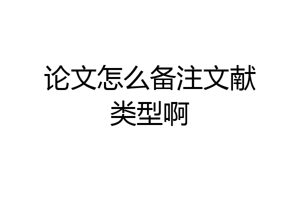 论文怎么备注文献类型啊