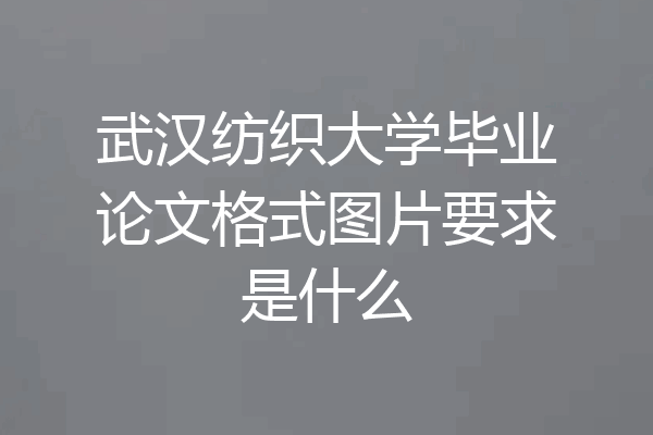 武汉纺织大学毕业论文格式图片要求是什么