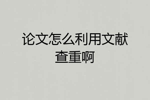 论文怎么利用文献查重啊