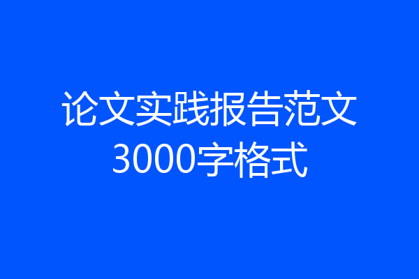 论文实践报告范文3000字格式