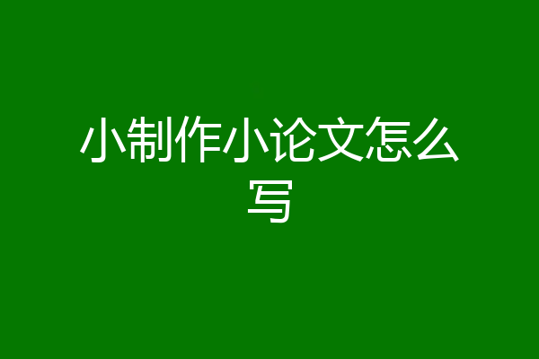 小制作小论文怎么写