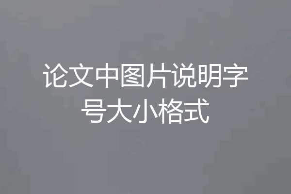 论文中图片说明字号大小格式
