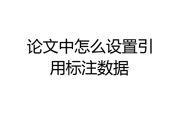 论文中怎么设置引用标注数据