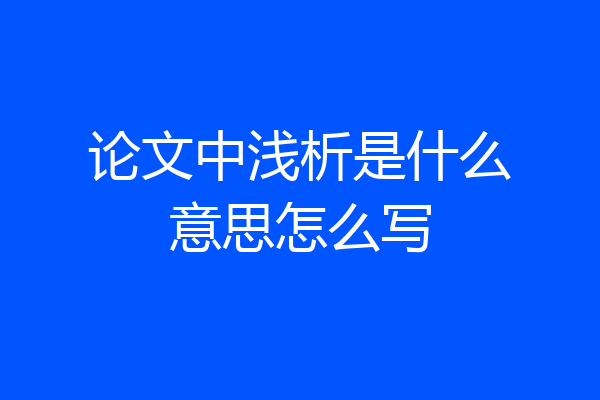 论文中浅析是什么意思怎么写