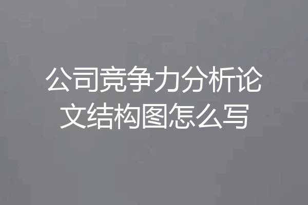 公司竞争力分析论文结构图怎么写