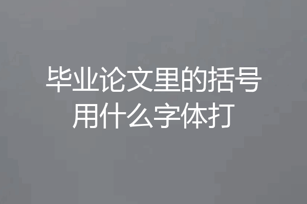 毕业论文里的括号用什么字体打