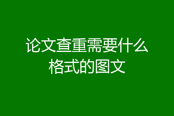 论文查重需要什么格式的图文