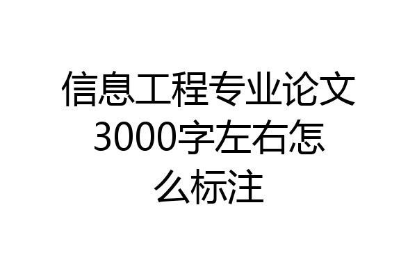 信息工程专业论文3000字左右怎么标注