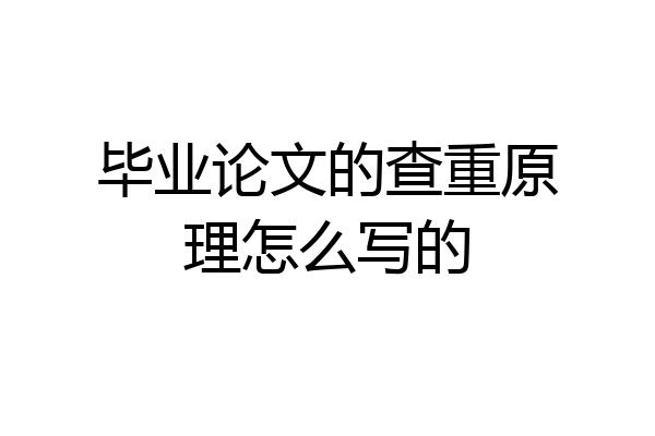 毕业论文的查重原理怎么写的