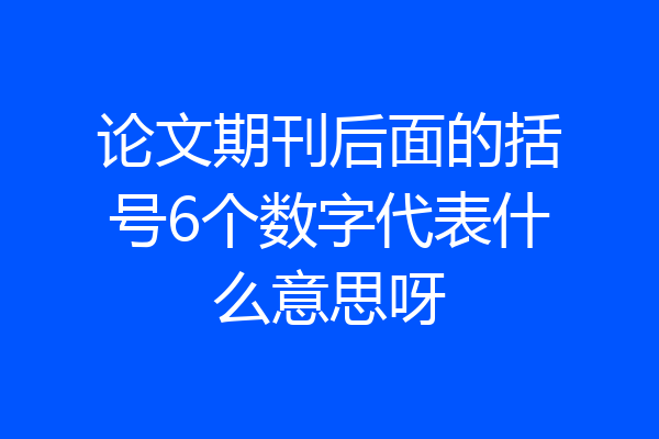 论文期刊后面的括号6个数字代表什么意思呀