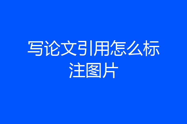 写论文引用怎么标注图片