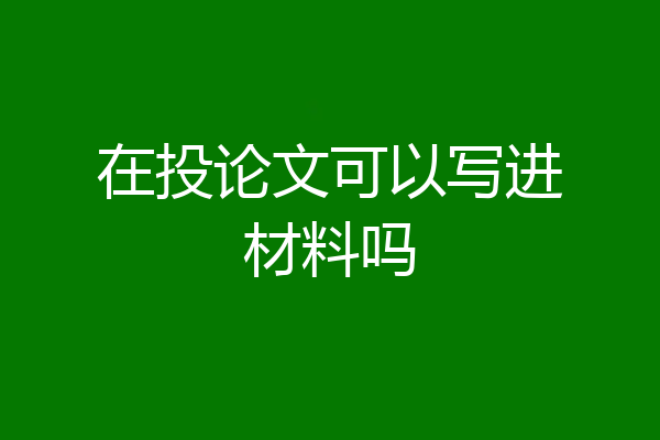 在投论文可以写进材料吗