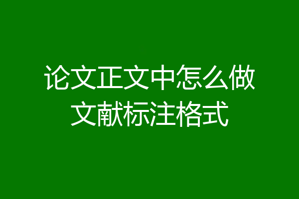 论文正文中怎么做文献标注格式