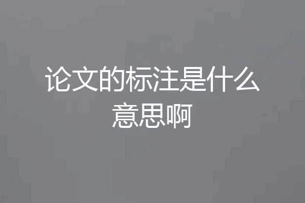 论文的标注是什么意思啊