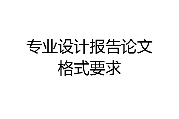 专业设计报告论文格式要求