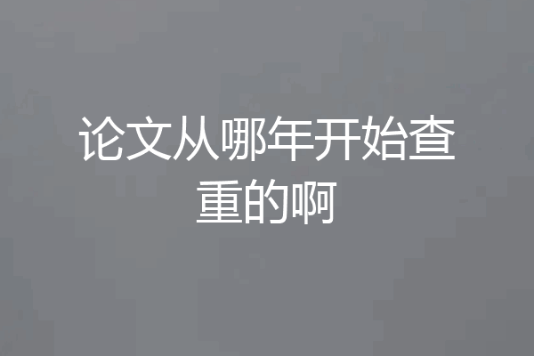 论文从哪年开始查重的啊
