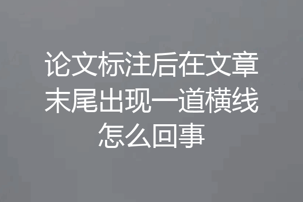 论文标注后在文章末尾出现一道横线怎么回事