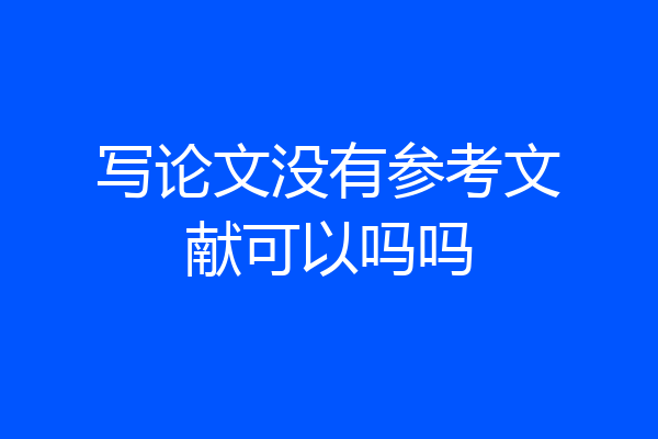 写论文没有参考文献可以吗吗